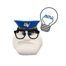 Developing a Research Question